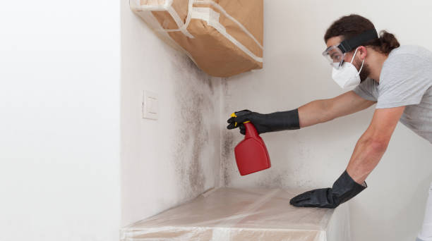 Professional Attic Mold Remediation technician working in Lewisville, TX