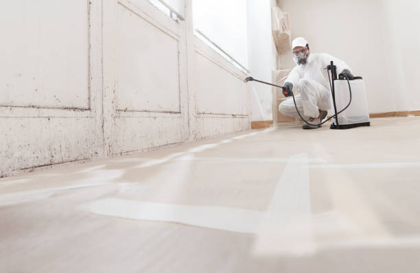 24/7 Emergency Attic Mold Remediation experts in Lewisville, TX