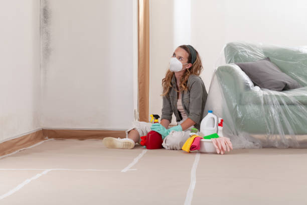 Reliable Attic Mold Remediation contractor in Lewisville, TX by 24 Hour Mold Removal